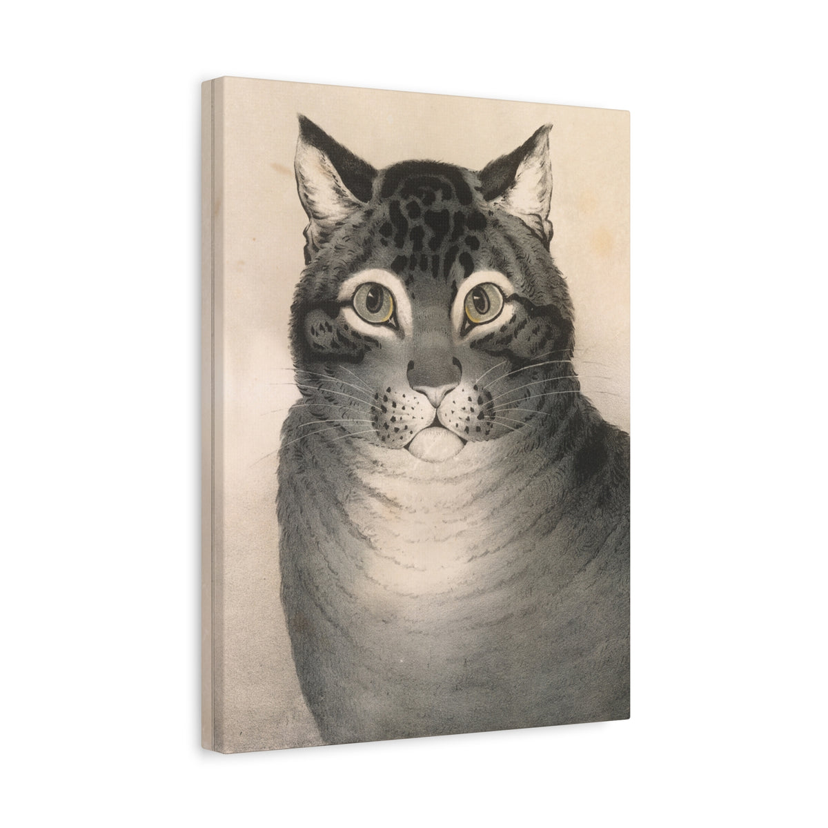 The Favorite Cat — Nathaniel Currier, c. 1840