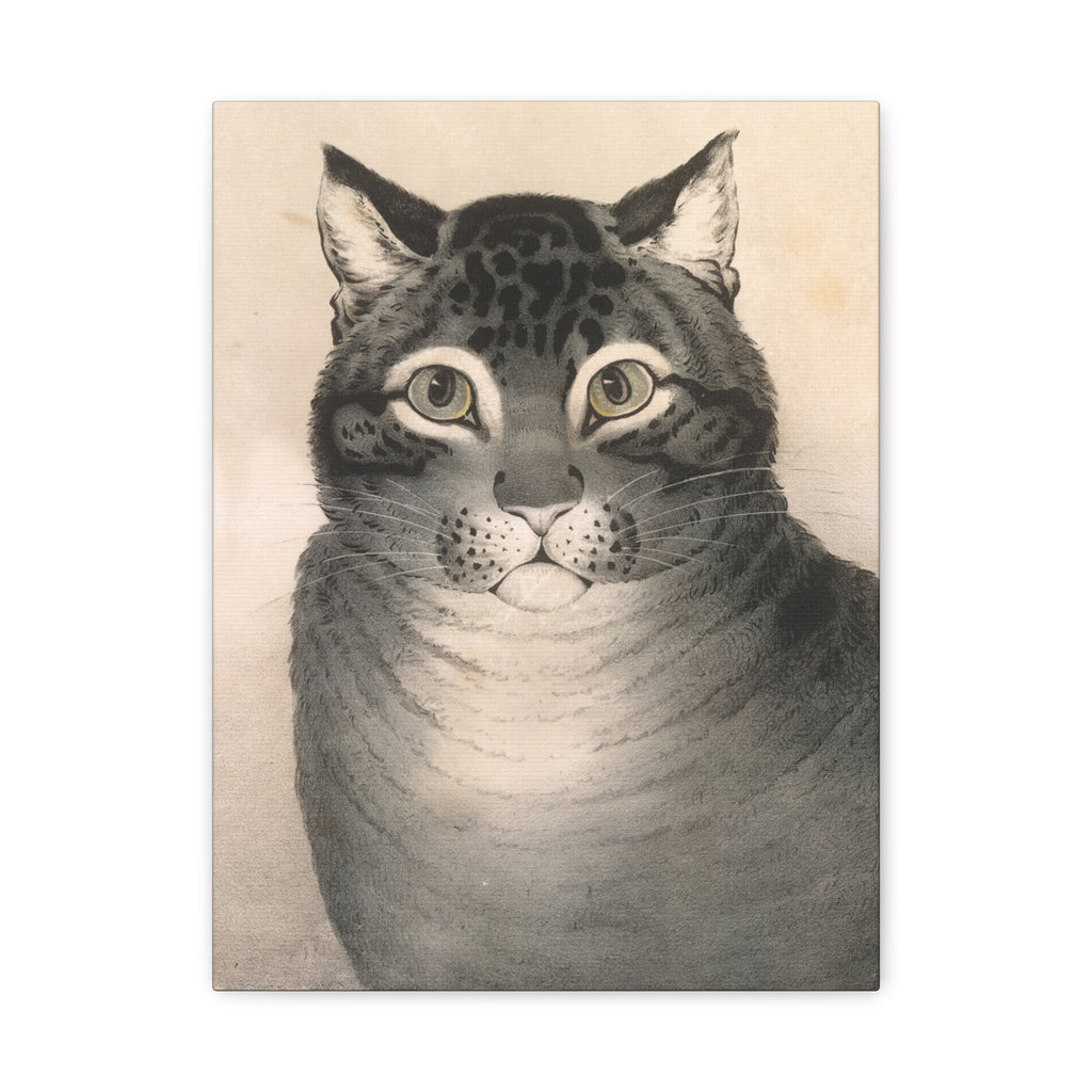 The Favorite Cat — Nathaniel Currier, c. 1840