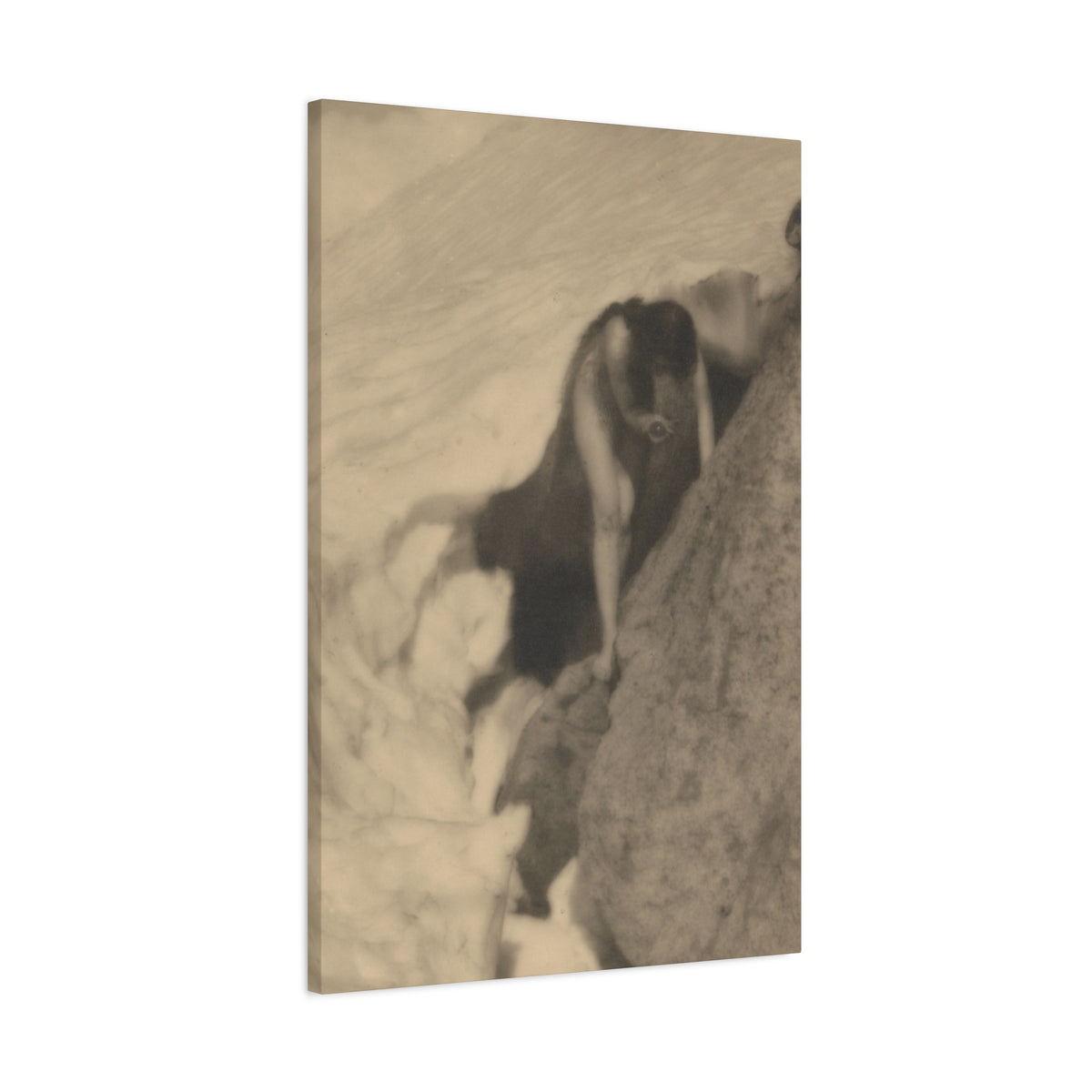 Thaw — Anne W. Brigman, 1906